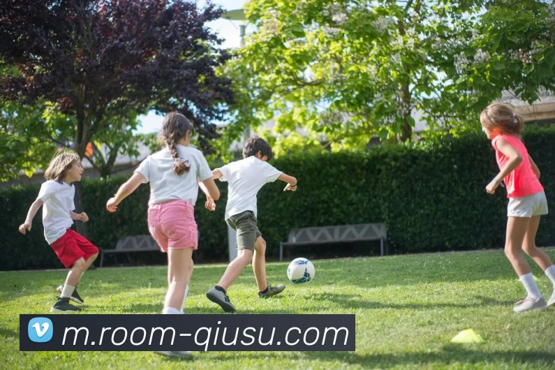 球速体育服务体系