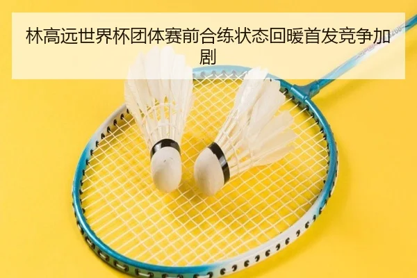 林高远世界杯团体赛前合练状态回暖首发竞争加剧